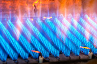 Buckoak gas fired boilers
